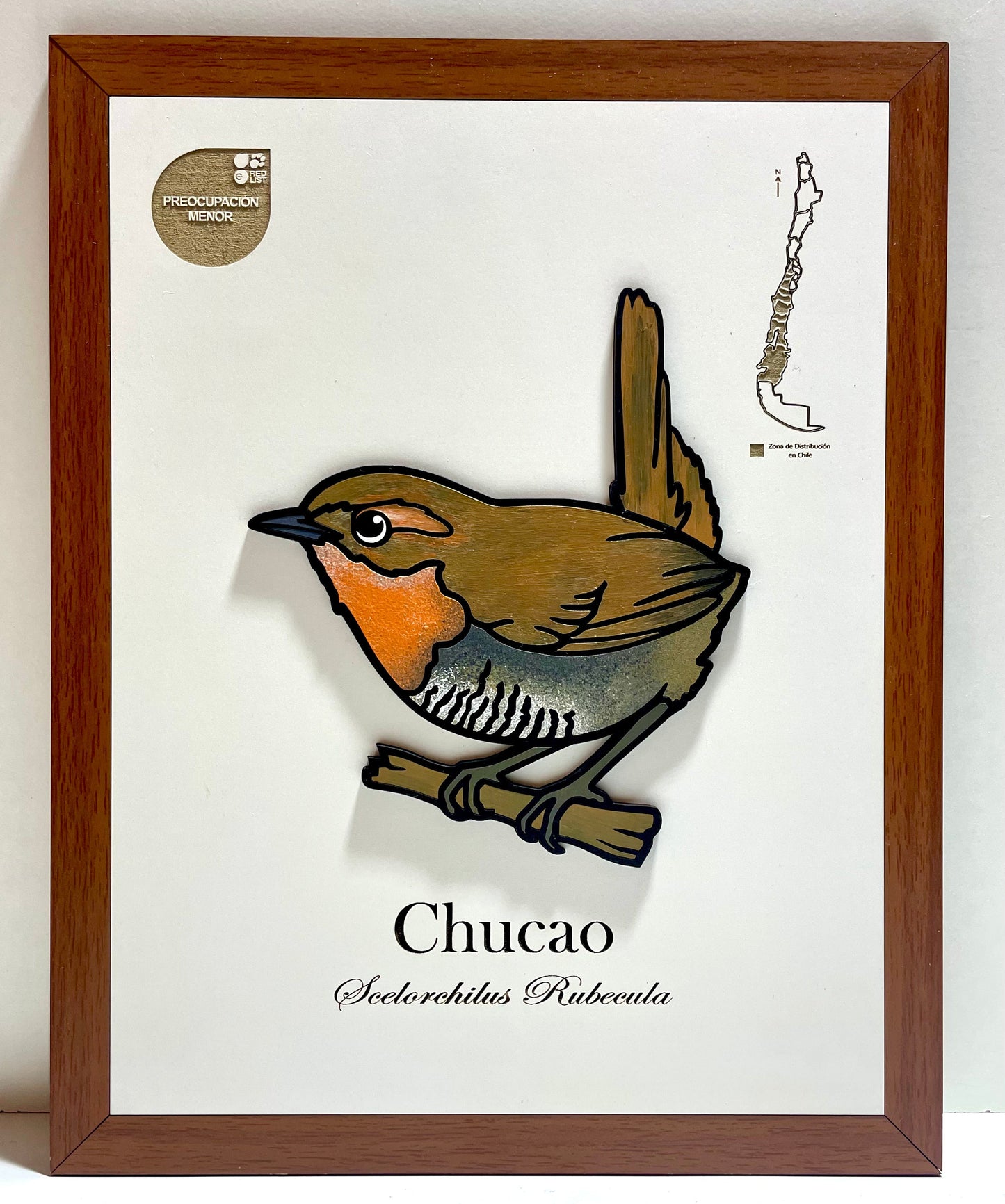 Pack Bosque Nativo - Fauna en Relieve