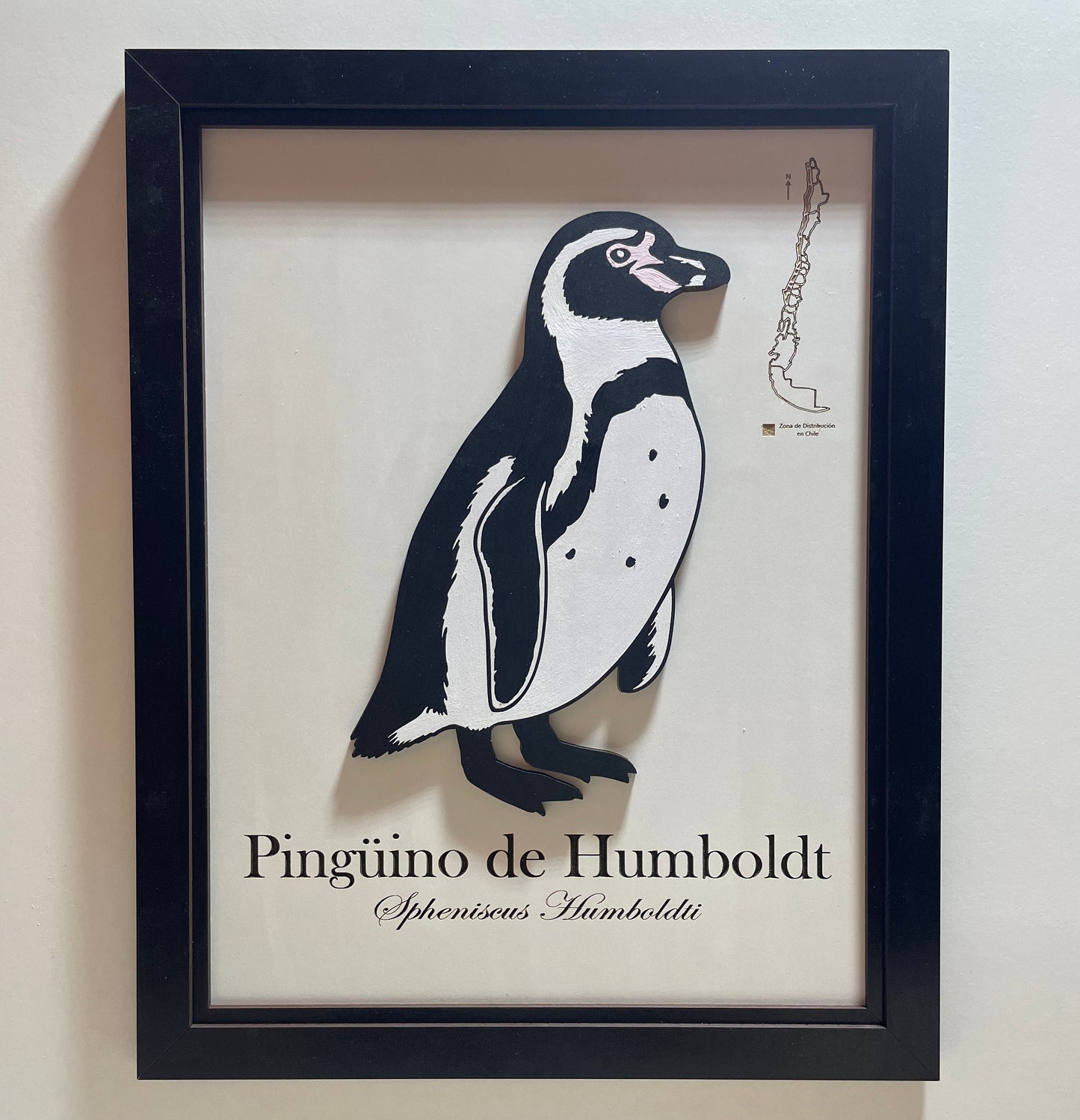 Pack Pingüinos - Fauna en Relieve