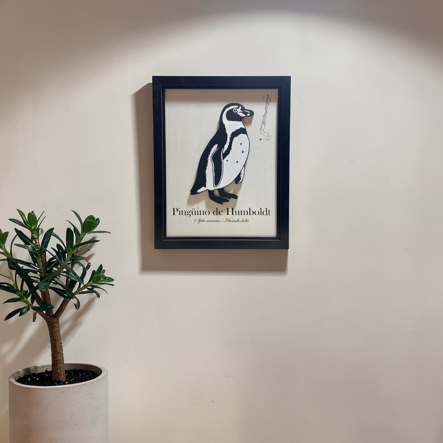 Pingüino de Humboldt - Cuadro en Relieve