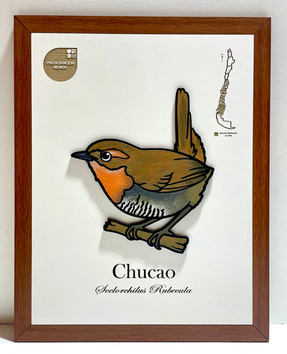 Pack Bosque Profundo - Fauna en Relieve