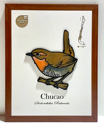 Pack Bosque Nativo - Fauna en Relieve