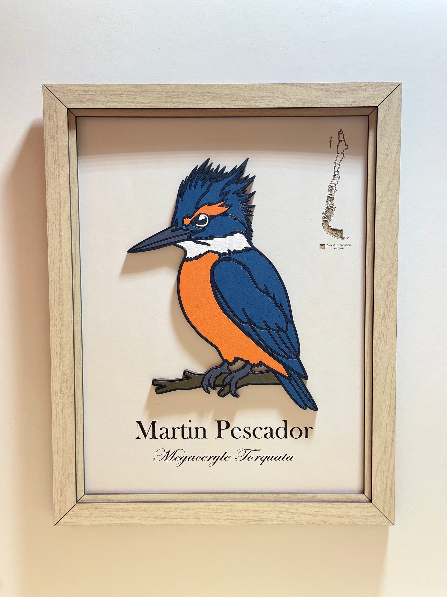 Martín Pescador - Cuadro en Relieve
