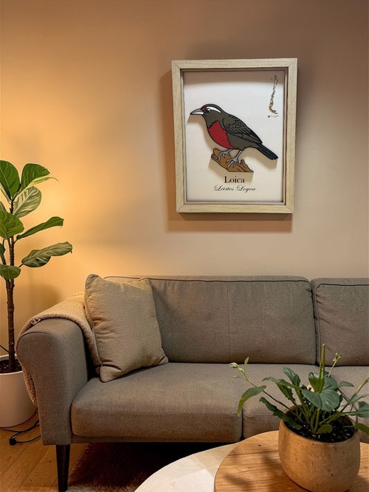 Loica - Cuadro en relieve