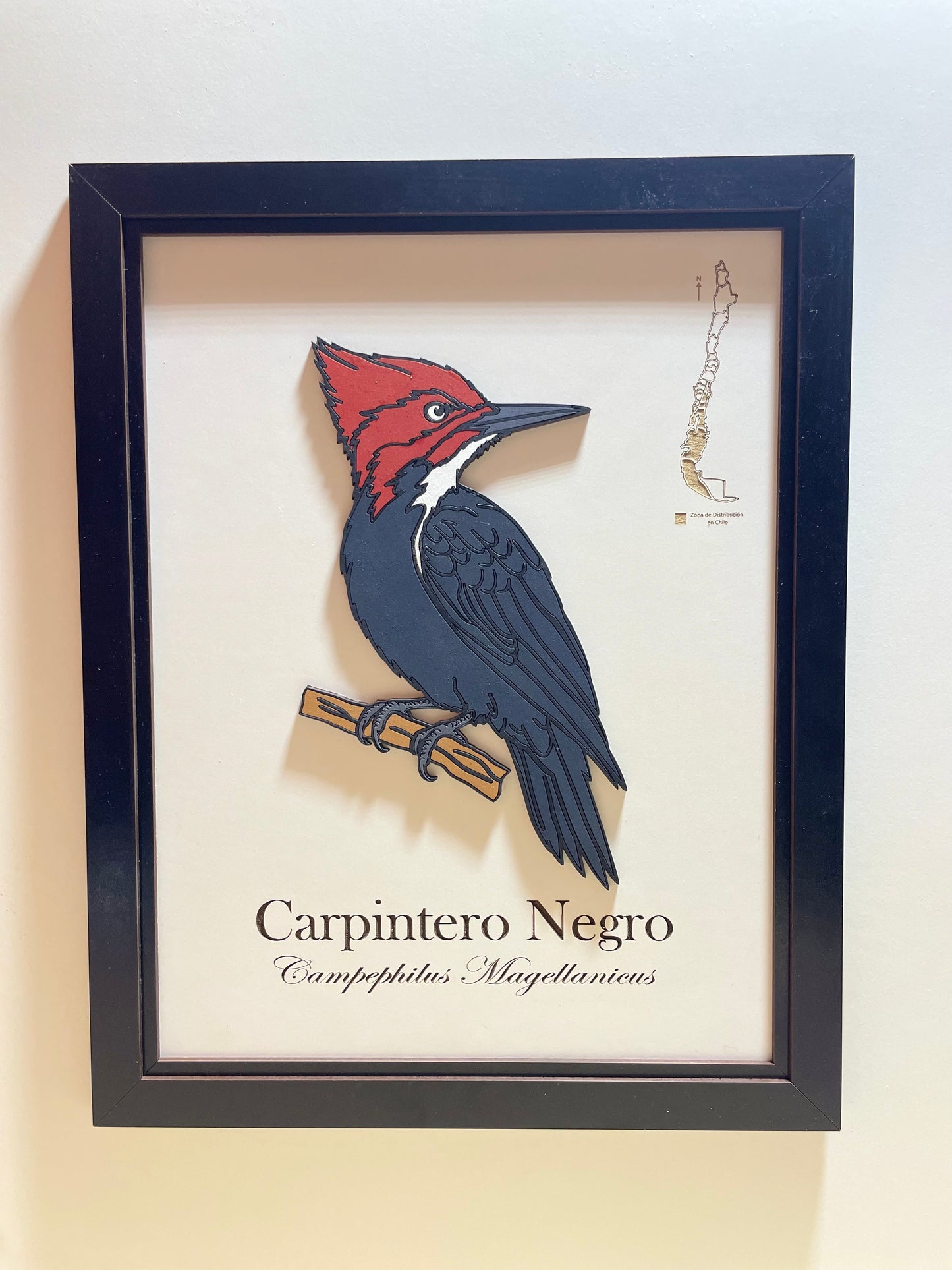 Carpintero Negro - Cuadro en Relieve