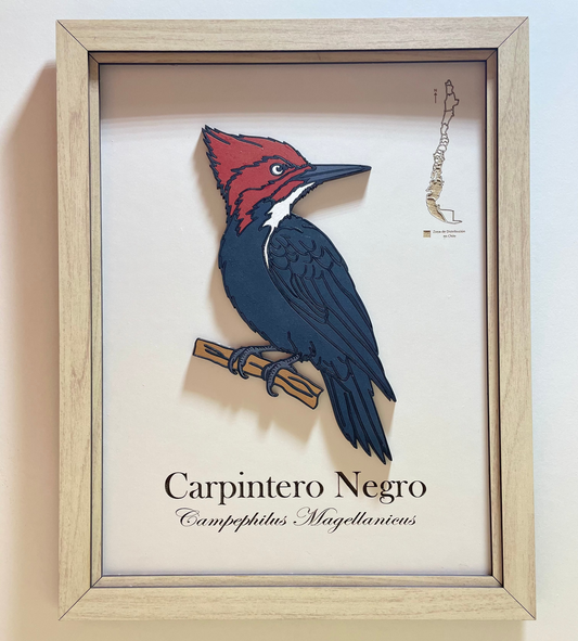 Carpintero Negro - Cuadro en Relieve