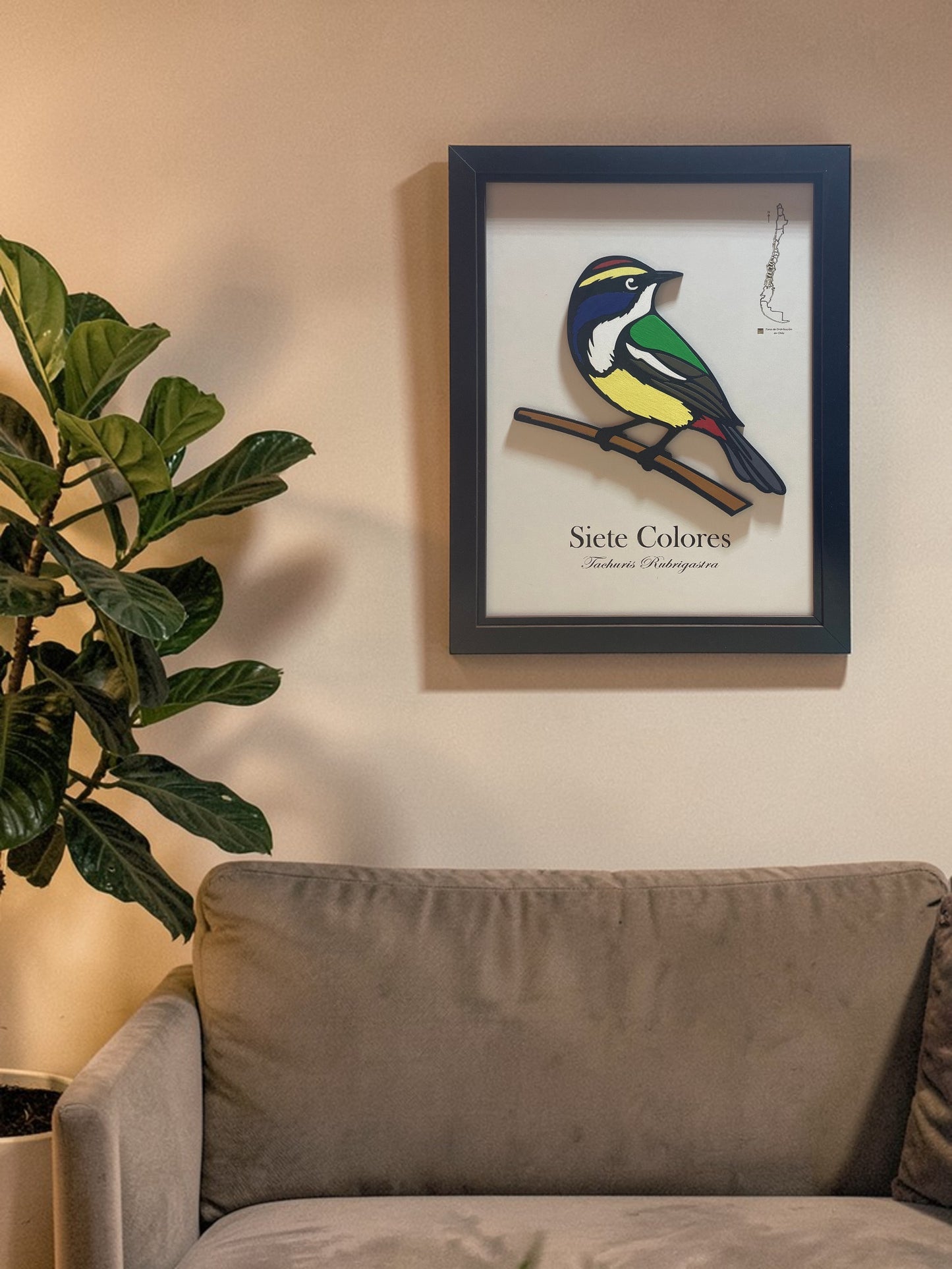 Siete Colores - Cuadro en Relieve