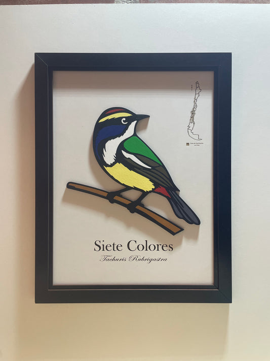 Siete Colores - Cuadro en Relieve