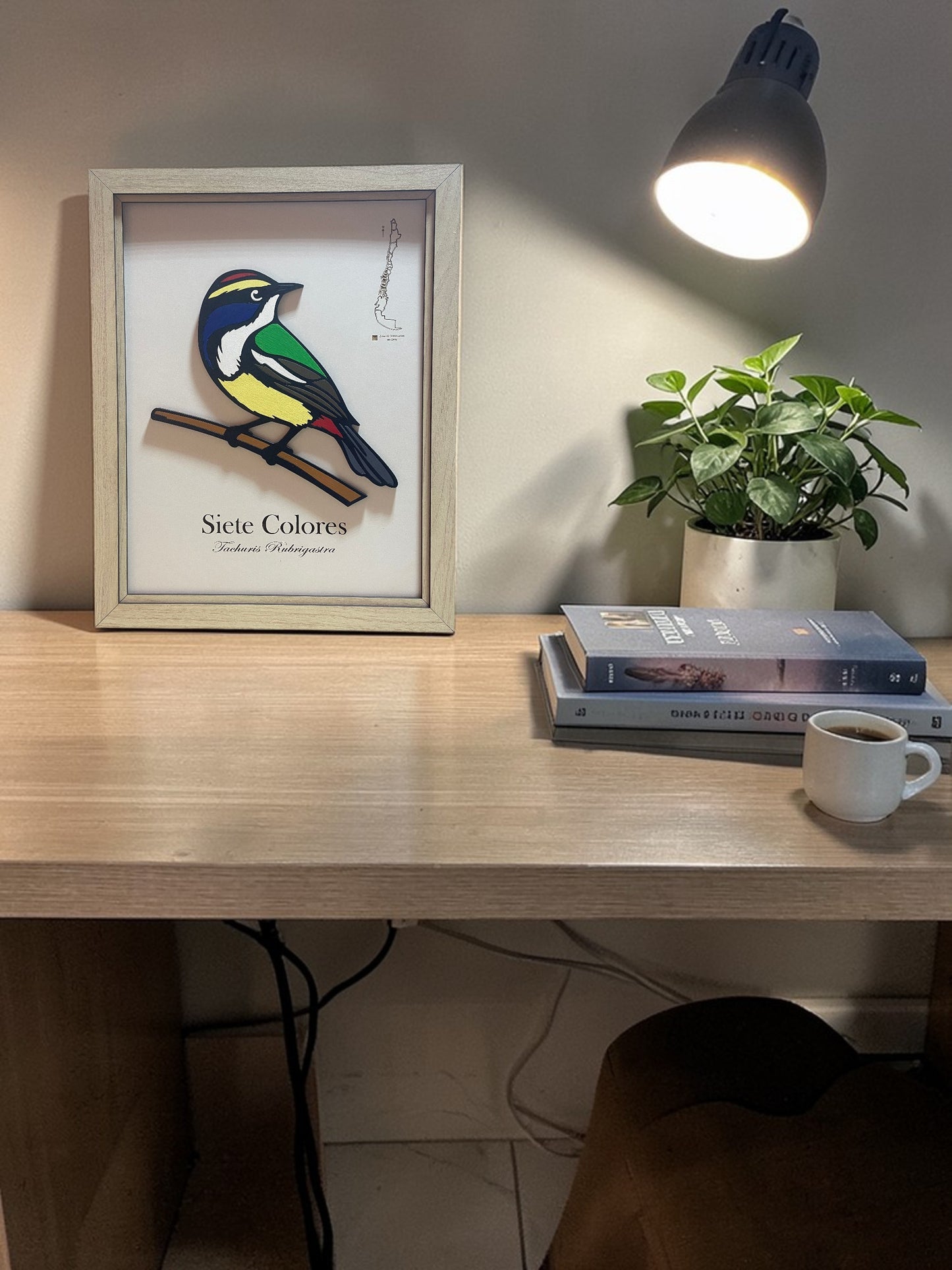 Siete Colores - Cuadro en Relieve