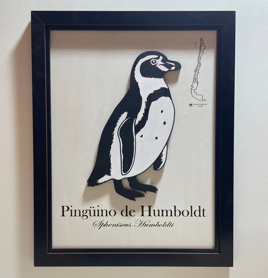 Pingüino de Humboldt - Cuadro en Relieve