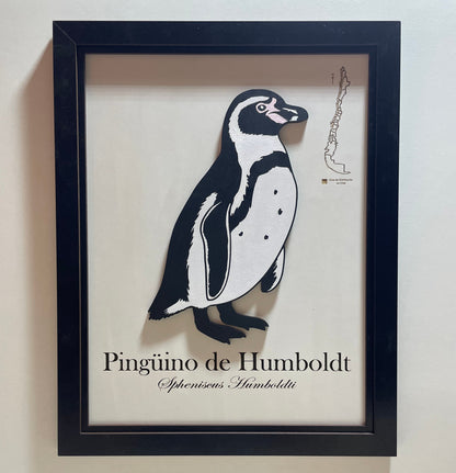 Pack Pingüinos - Fauna en Relieve