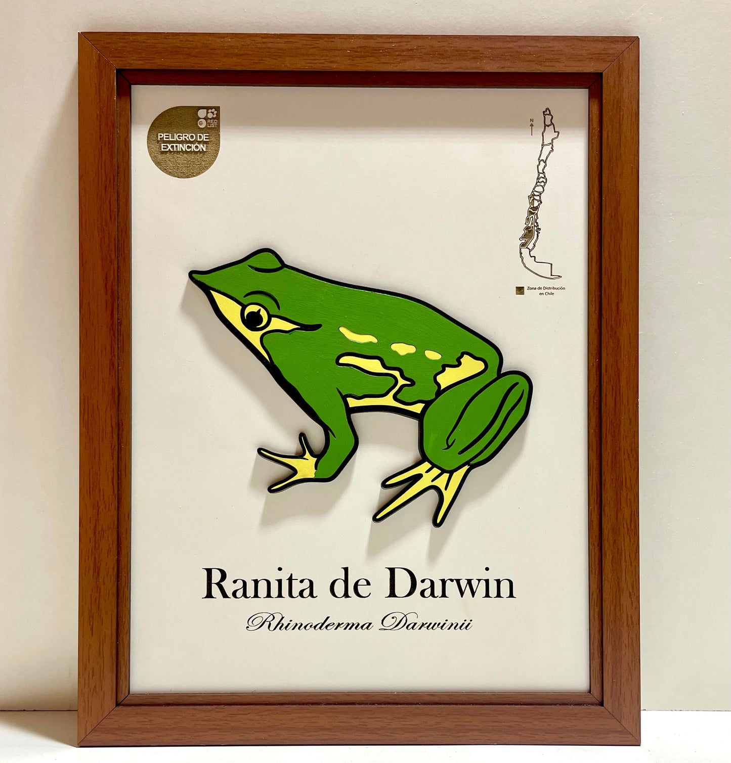 Pack Bosque Nativo - Fauna en Relieve