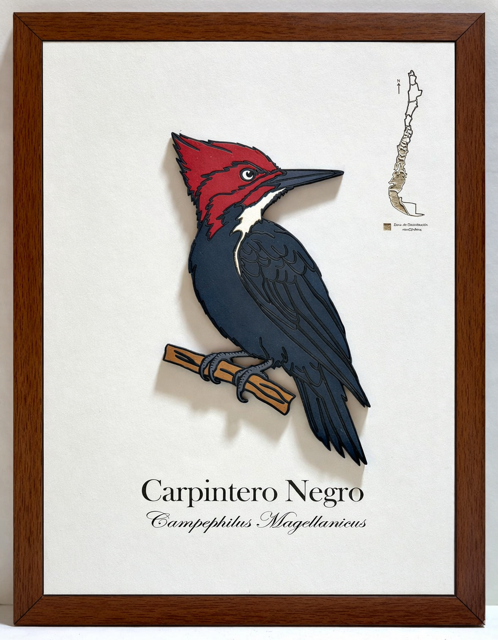 Pack Bosque Nativo - Fauna en Relieve