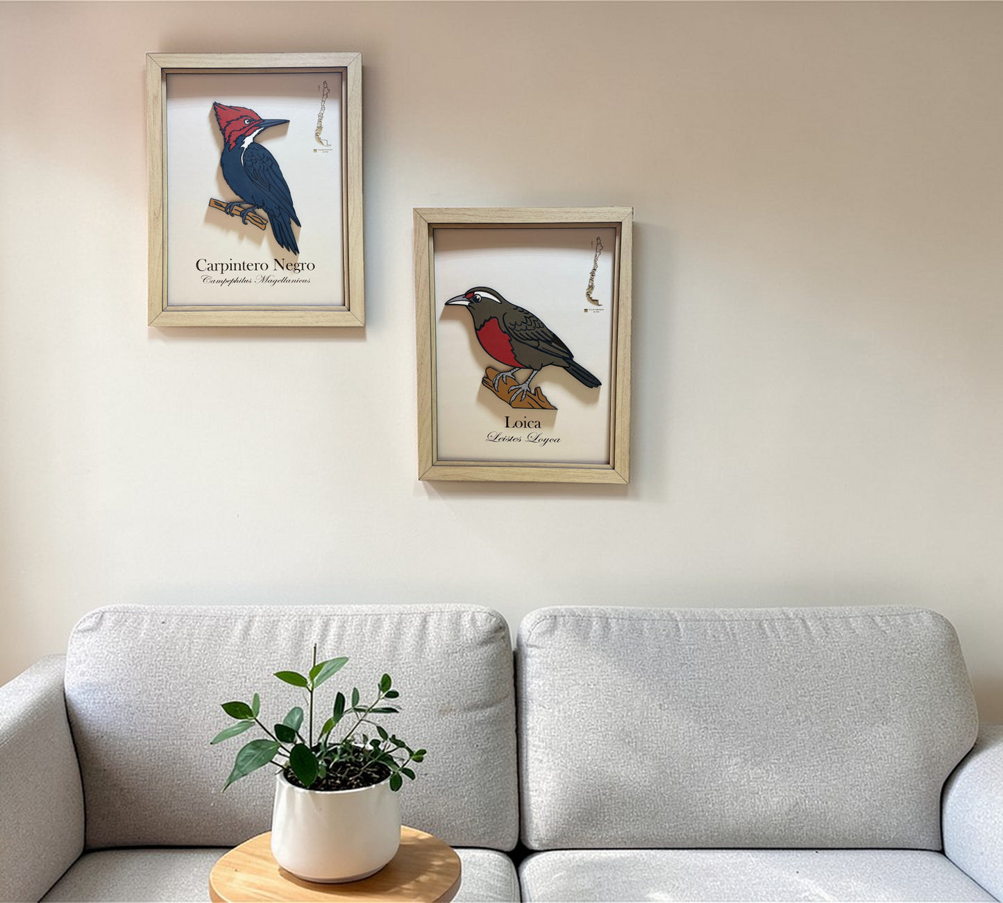 Colección Inicial - Aves en Relieve