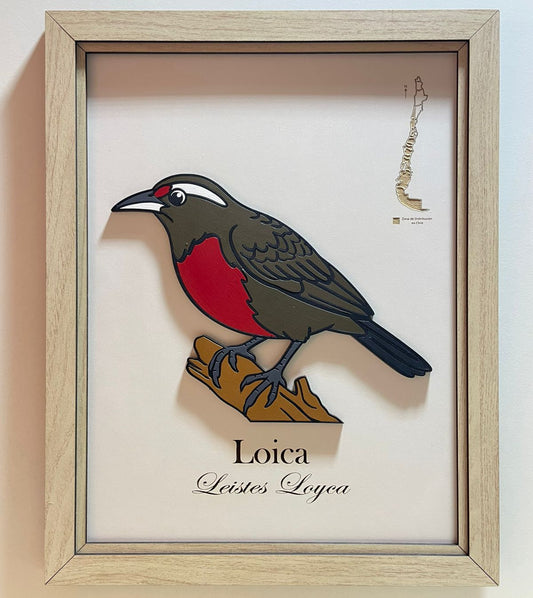 Loica - Cuadro en relieve