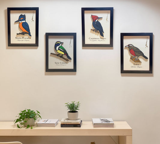 Colección Inicial - Aves en Relieve