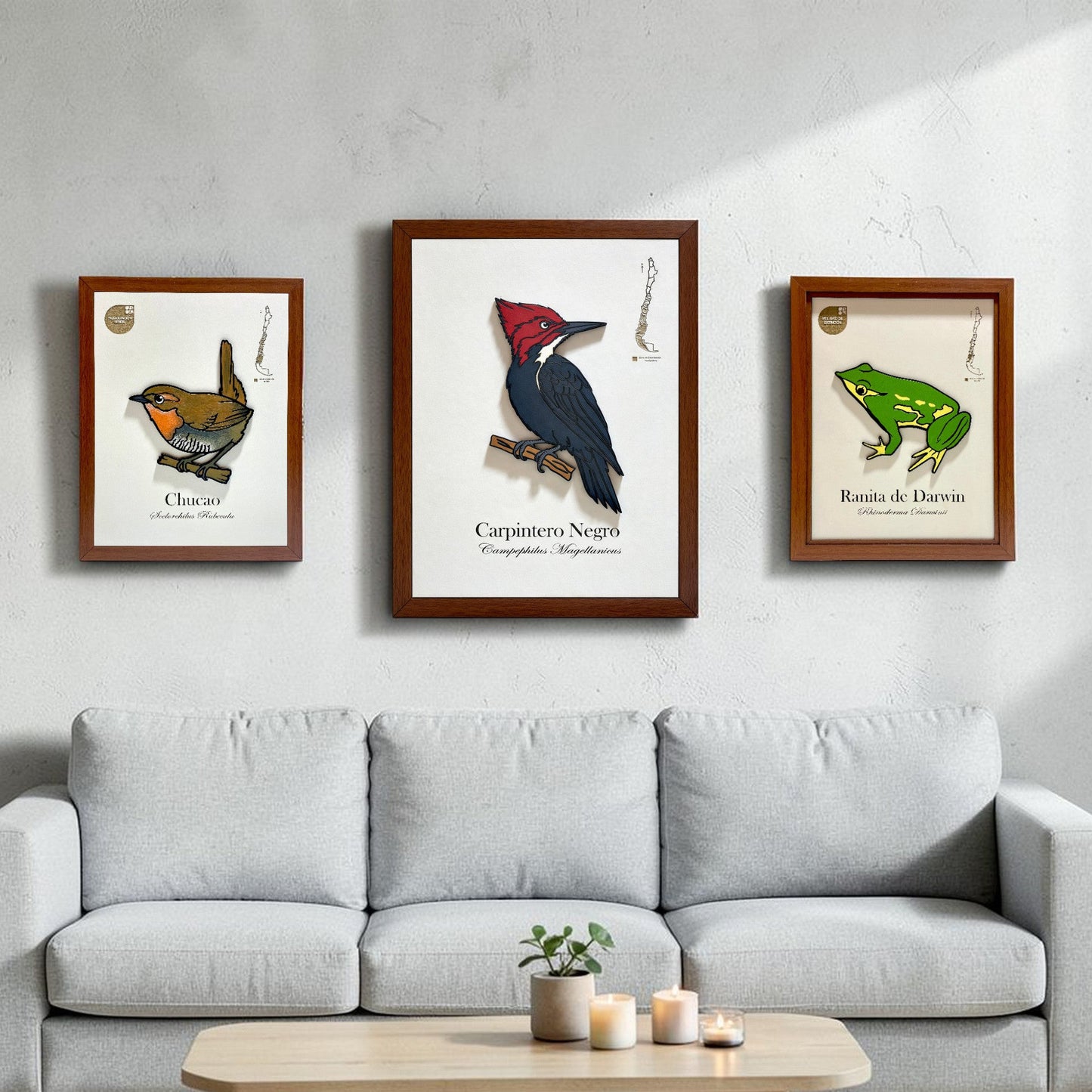 Pack Bosque Nativo - Fauna en Relieve