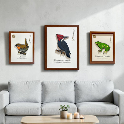 Pack Bosque Nativo - Fauna en Relieve