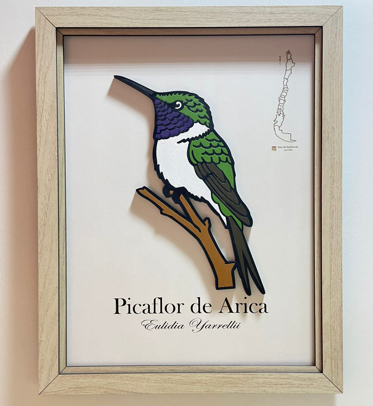 Picaflor de Arica - Cuadro en Relieve