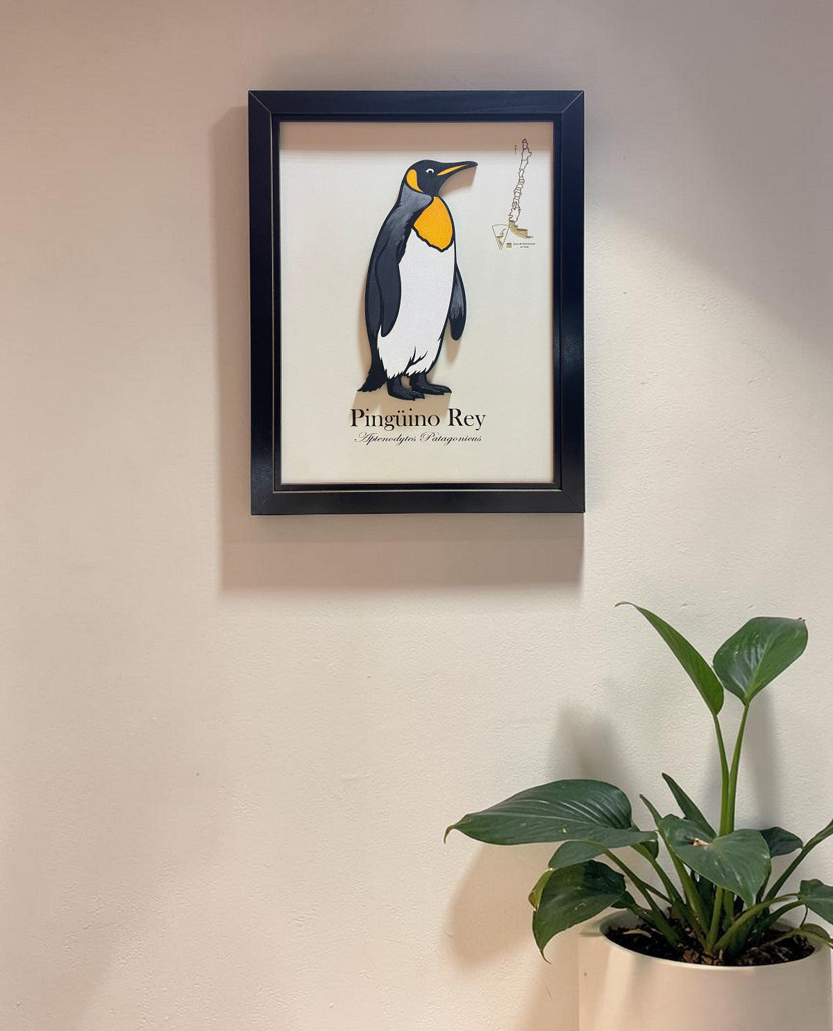 Pingüino Rey - Cuadro en Relieve