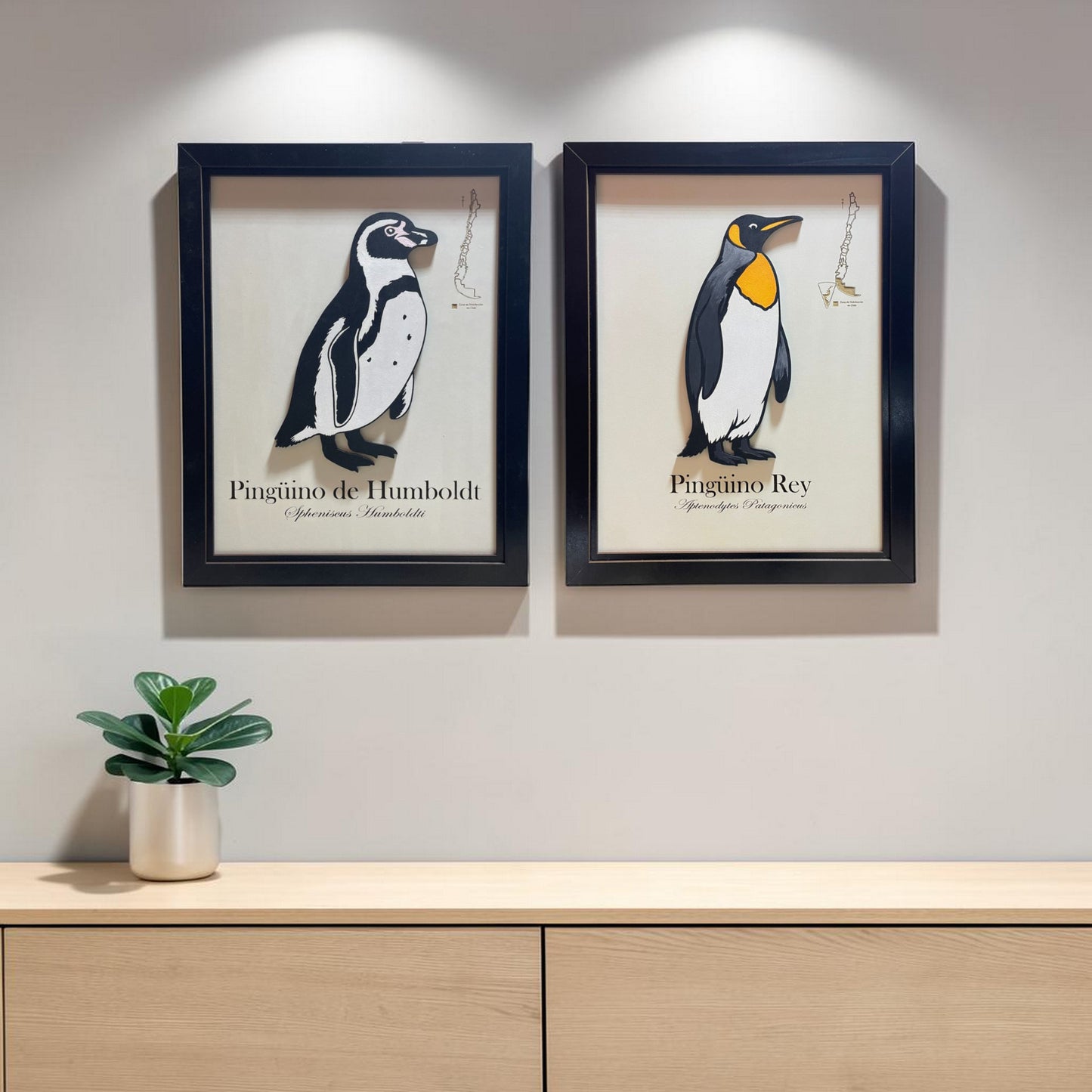 Pack Pingüinos - Fauna en Relieve