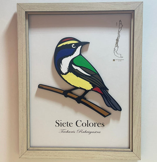 Siete Colores - Cuadro en Relieve